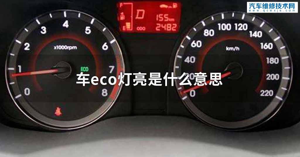 车eco灯亮是指什么意思