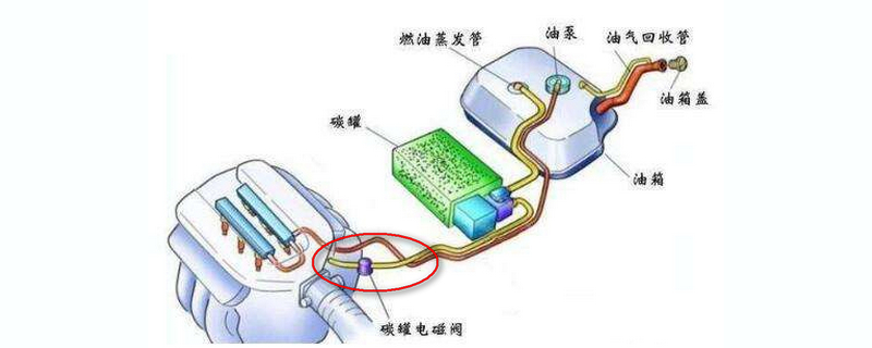 碳罐电磁阀在车的什么位置